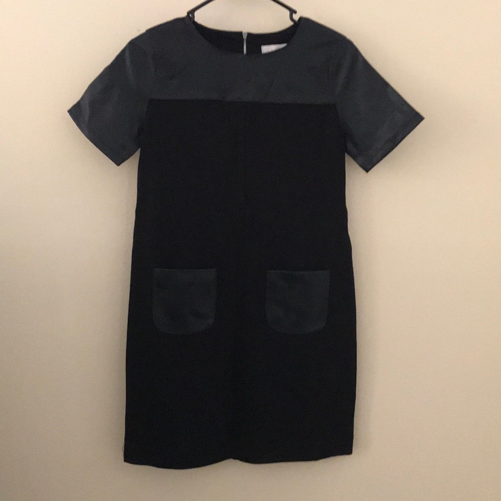Loft Leather Sleeved Dress